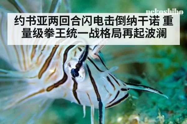 约书亚两回合闪电击倒纳干诺 重量级拳王统一战格局再起波澜